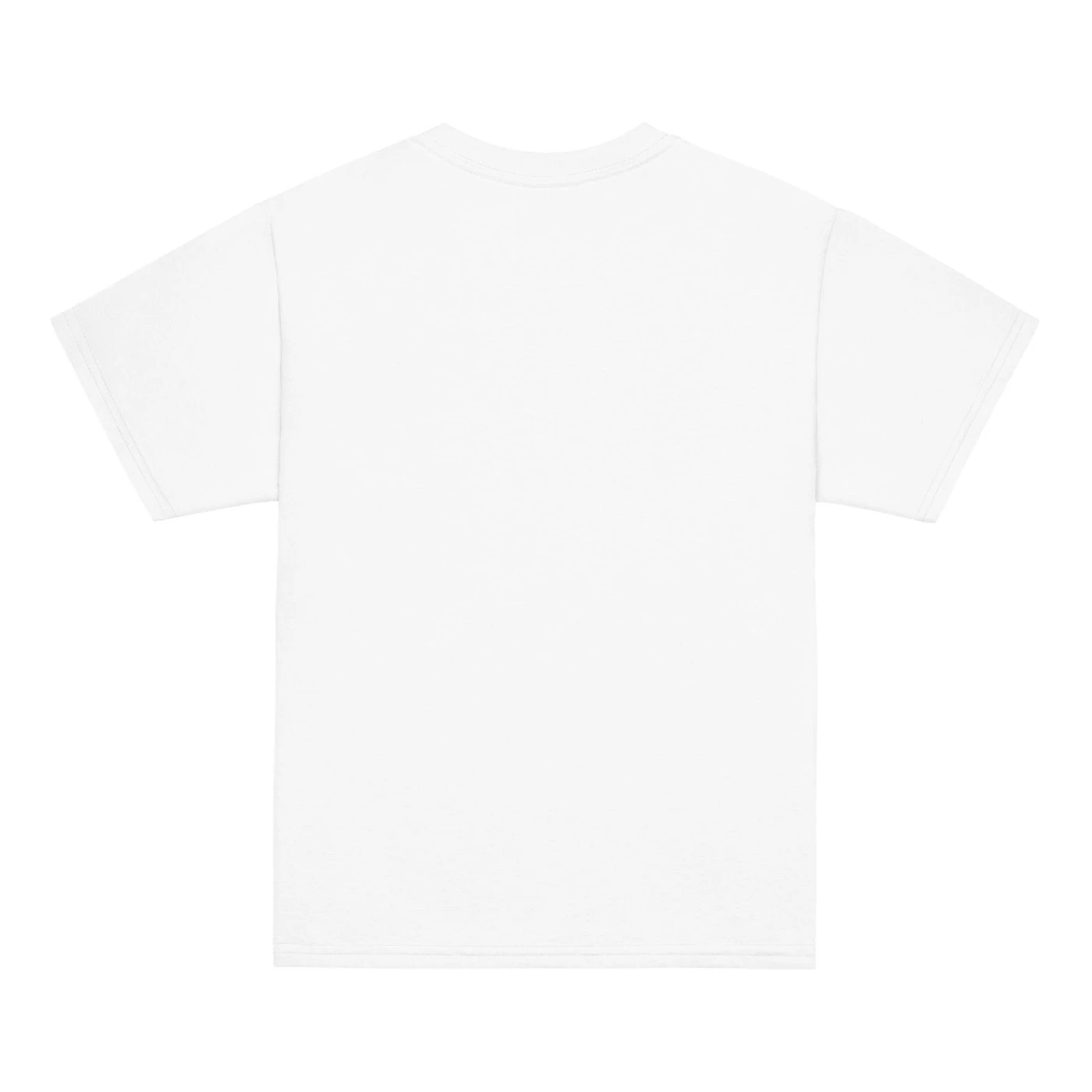 Boy in a white T-shirt with Tito and Candi side by side and the words Adventure Buddies